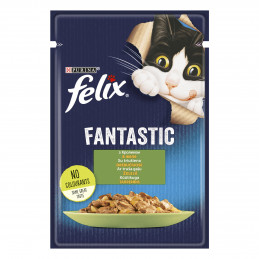 Katėms  Felix  Fantastic...