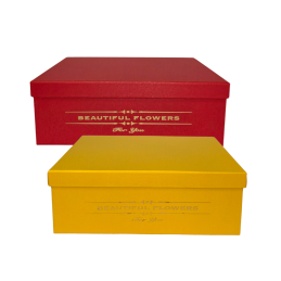 Dovanų dėžutė 1 vnt. A-468