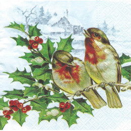 Servetėlės Paukšteliai...