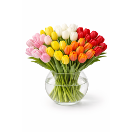 Skinta tulpė 1 vnt.