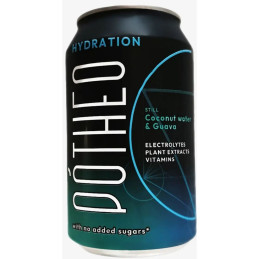 Negazuotas gaivusis gėrimas  POTHEO  320 ml