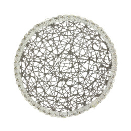 Stalo servetėlė-padėkliukas PVC 39*39cm