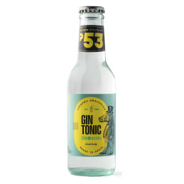Nealkoholinis gazuotas gaivusis gėrimas Gin Tonic 200ml