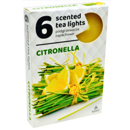 Arbatinė žvakė nuo uodų Citronella, 6vnt