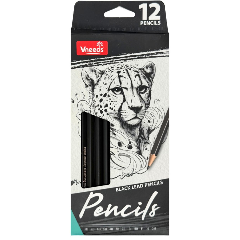 Pieštukų rinkinys 12 vnt
