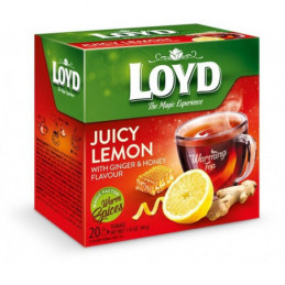 Arbata Loyd su imbieru ir...