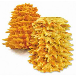 Šakotis MON Trapus 1Kg